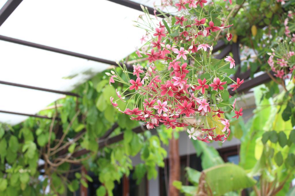 Phatong Residence บ่อผุด ภายนอก รูปภาพ